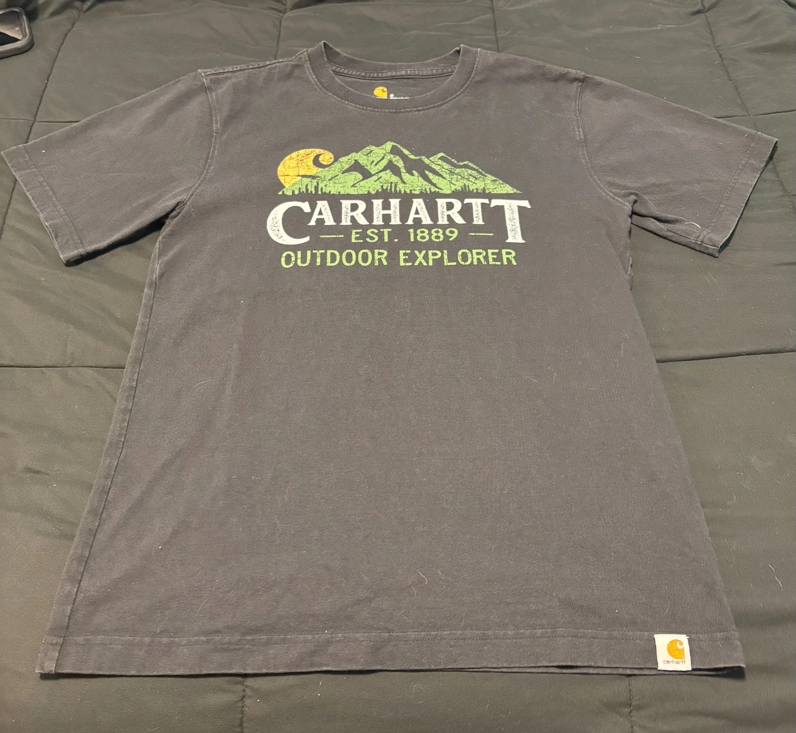 Carhartt Mens Small Relaxed Fit T-Shirt Dark Gray Outdoor Explorer Est 1889