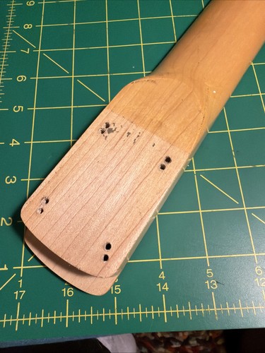 Guitarra Eléctrica Epiphone S-310 NECK Strat Hecha en Corea Arce con Afinadores - Imagen 5 de 23