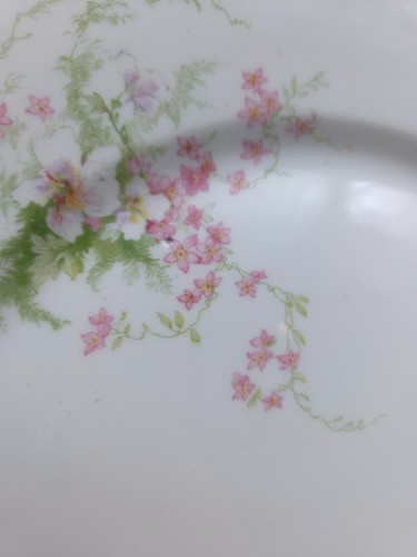 Vintage Set of 2 Limoges France Wm Guerin & Co Floral Plates - Picture 7 of 8