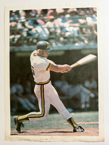 12 San Diego Padres 1975 Dean’s Photo Player Poster 14" x 10" Set Limited Ed. - Bild 11 von 17
