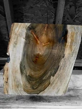 XL Wicked CURLY AMBROSIA RED Maple Burl wood EPOXY wood Craft wood Figured Maple