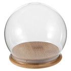 Glasglockenform-Kuppel: Blumenschmuck-Abdeckung, dekorative Gläser, Vitrine für