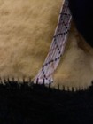 Foto 12 di 20