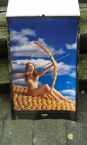 2006 meylip KALENDER Format 60 x 40cm Frauenbilder-Schönheiten, Chrom Karton 4/4 - Bild 10 von 15