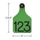Bild 15 von 23