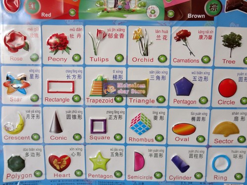 Children's Early Education Audible Sound Charts Enlightenment --Color and Shape - Picture 3 of 6