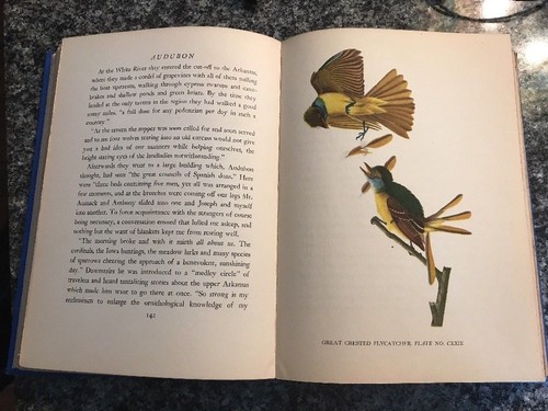 'AUDUBON' CONSTANCE ROURKE 1936 BIOGRAPHY, FIRST EDITION, ILLUSTRATED! - Bild 9 von 12