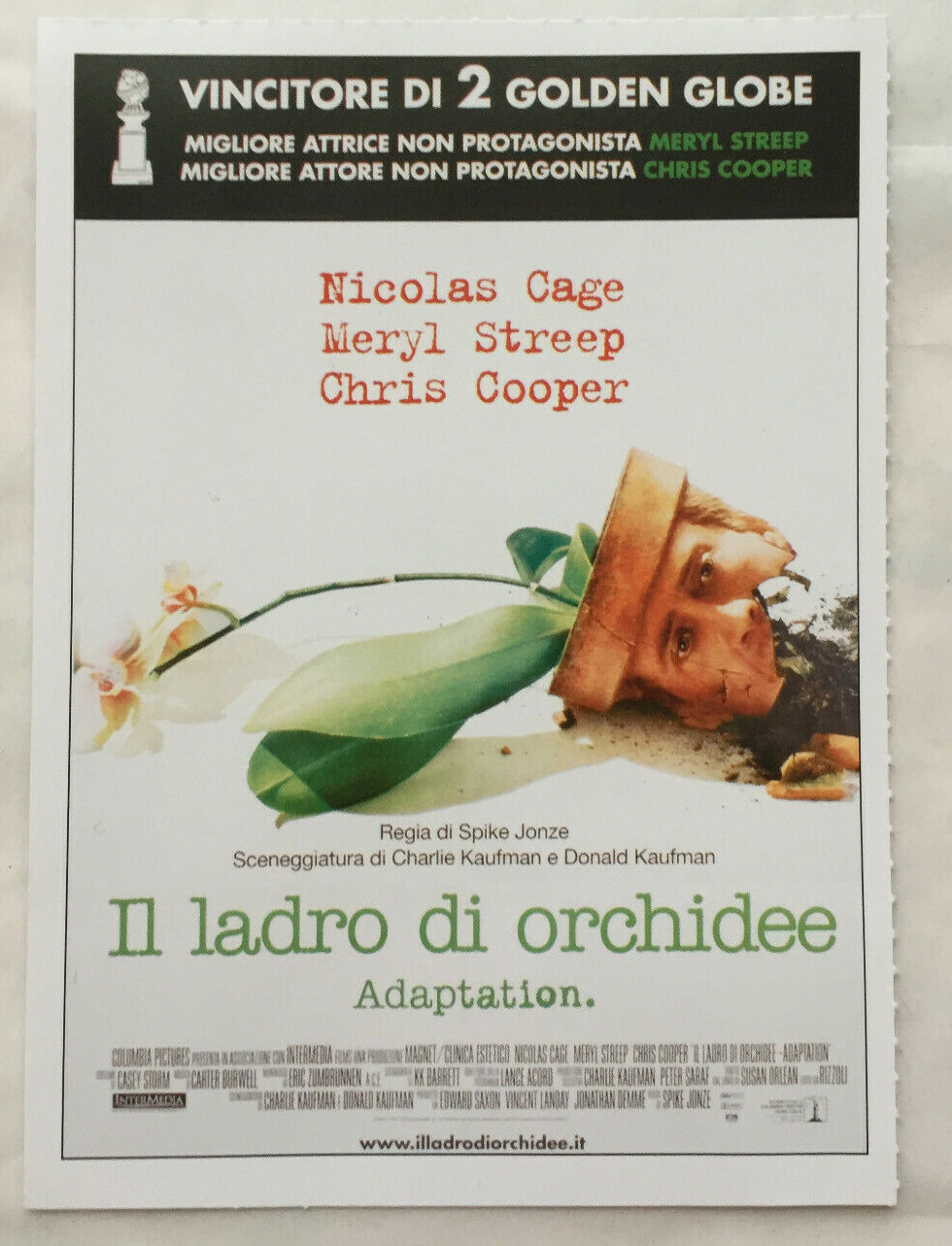 Foto 1 di 1