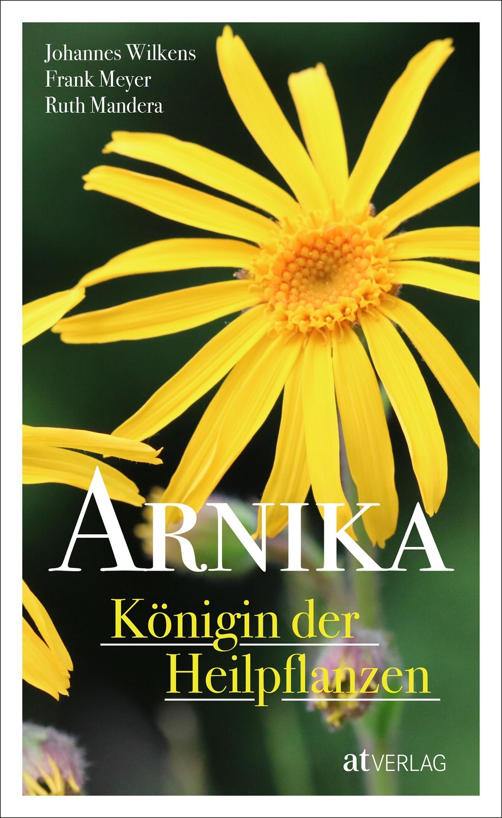 Thumbnail - Arnika - Königin Der Heilpflanzen Johannes Wilkens (u. A.) Buch 224 S.