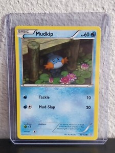 Pokemon TCG - Mudkip 33/160 - Regular Common Primal Clash NM