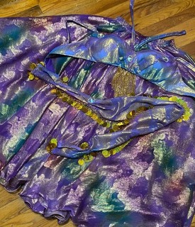 Belly Dance costume 3 piece multi color gold shimmer