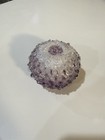 Picture 1 of 7