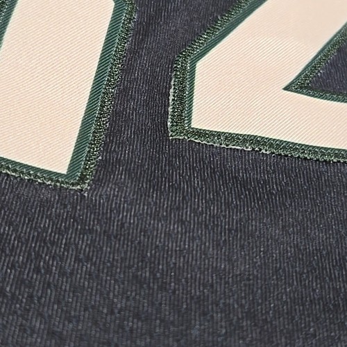 Giannis Antetokounmpo Milwaukee Bucks Trikot Gr. 48 Jordan Fear The Deer - Bild 5 von 9