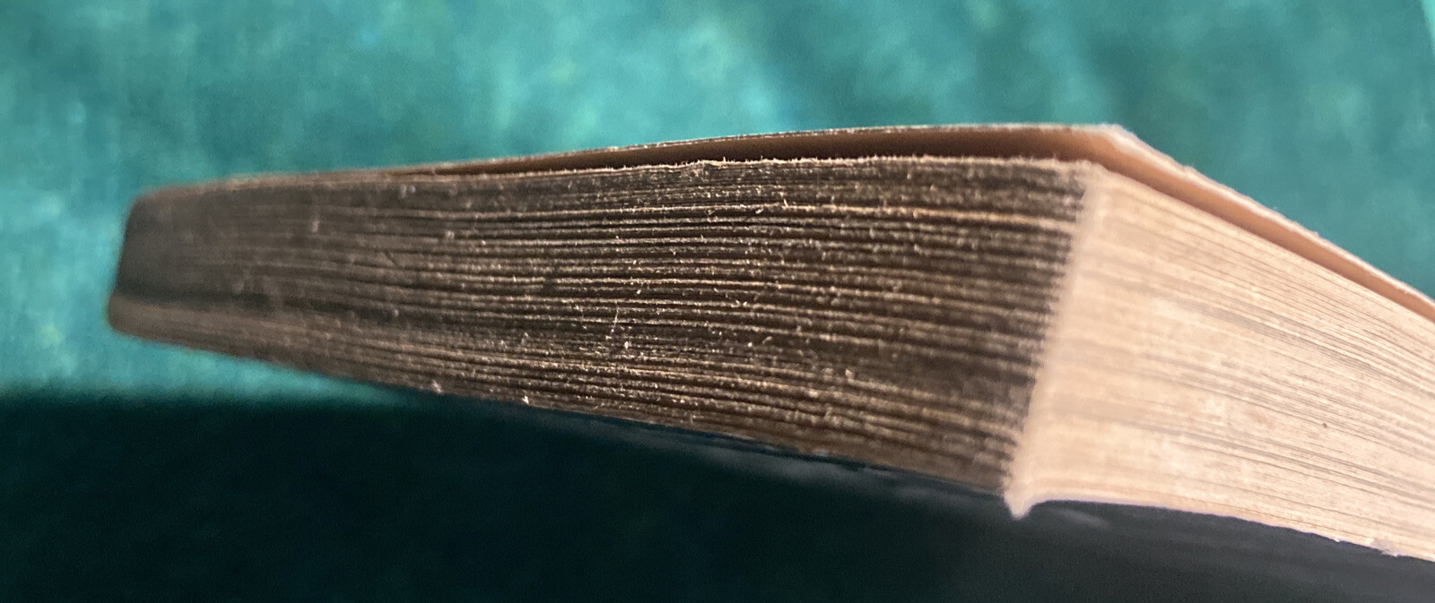 Picture 5 of 5