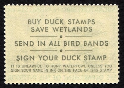 RW43 XF MNH FLAWS 1976 Canada Geese US Federal Duck Stamp Migratory Waterfowl - Picture 4 of 4