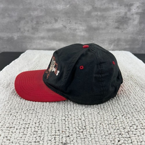SOMBRERO SNAPBACK VINTAGE LOONEY TUNES OSFA DOS TONOS TAZ BADE TO THE BONE - Imagen 3 de 10