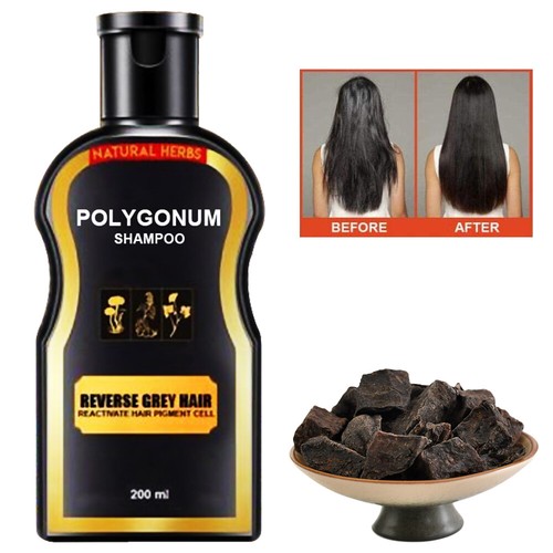 200ml Reverse Grey Hair Darkening Shampoo Natural Polygonum Ginger Essence USA - Picture 2 of 9