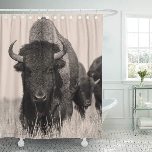 Emvency Decorative Shower Curtain Head Bison Buffalo in Sepia Herd of Shot One A - Picture 11 of 12