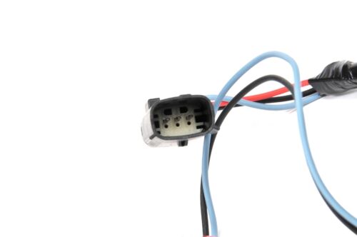 Tail Light Wiring Harness - Picture 2 of 2