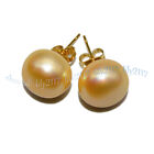 Aaa Huge 13-14Mm Genuine South Sea Yellow Button Pearl 14K Gold Stud Earrings