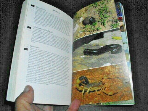 WILDLIFE OF EAST AFRICA (Princeton Pocket Guides) - field guide - Picture 6 of 12