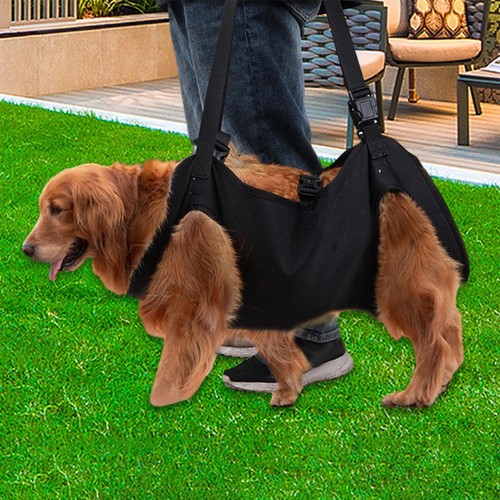 XL Hunde Tragehilfe Gehhilfe Tragegurt Hebehilfe Rehahilfe für Hunde - Bild 3 von 5