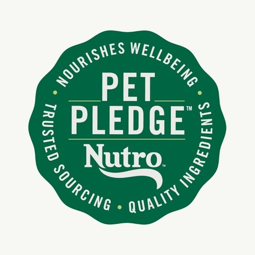 Senior Small Breed Dry Dog Food Chicken Brown Rice Dental Health Vitality 5lbs - Picture 9 of 11