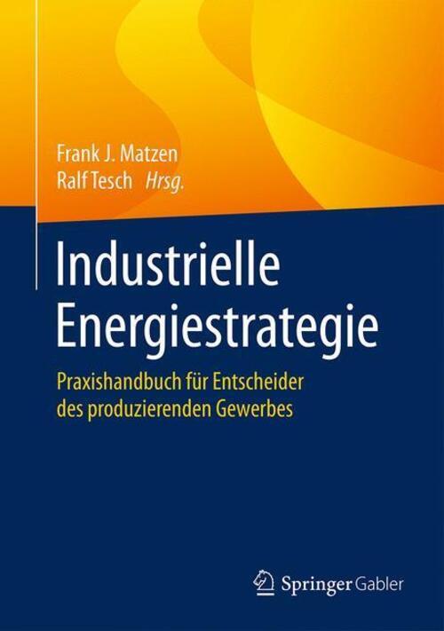 Thumbnail - Ralf Tesch (u. A.) | Industrielle Energiestrategie | Buch | Deutsch