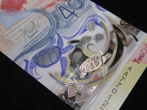 TURTLE note set 2 notes Brasil and Caribbean Banknote paper money - Picture 3 of 5