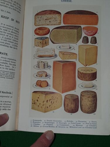 1912 MRS BEETON'S BOOK OF HOUSEHOLD MANAGEMENT 32 COLOUR PLATES COOKERY RECIPES - Picture 16 of 20