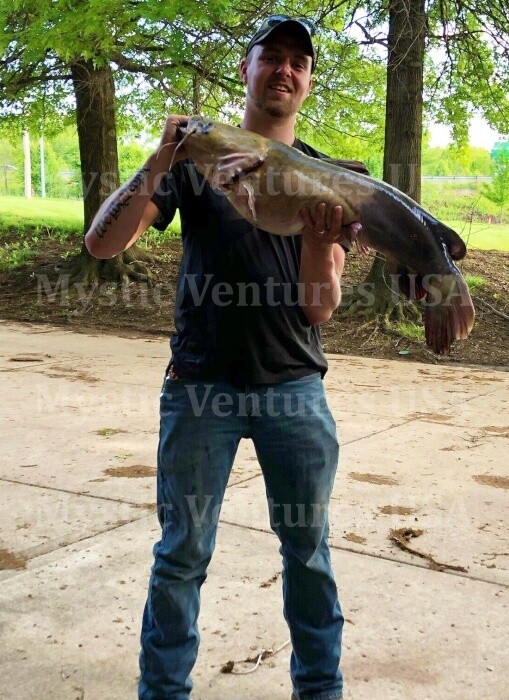 Picture 3 of 4