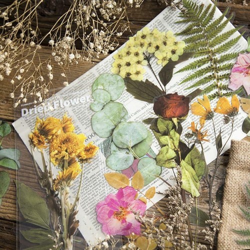 Weekend Flower Shop Large PET Stickers Set of 6 - Greenery - Picture 4 of 5