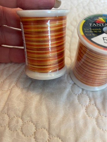 Lot - 4 FANTASTICO Variegated THREADS Polyester 40 wt. 500 yd # 5023 / 5170 - Picture 2 of 4
