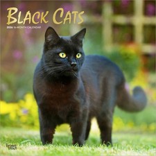 Browntrout Black Cats 2026 12 x 12 Wall Calendar w