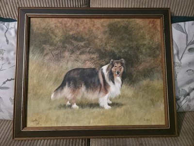 Original Caroline Cook ''Lassie'' 1984 signiert Hundeportrait