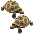 2 Pcs Small Porch Ornaments Ocean Animal Figurines Simulation Turtle Toy