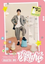 WISHFUL＜First production limited edition/RYO Ver.＞(AL(First production limited e