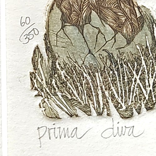 Carol Lummus "Prima Diva" Hatching Bird Hand Signed Etching 1985 Framed Art - Picture 6 of 10