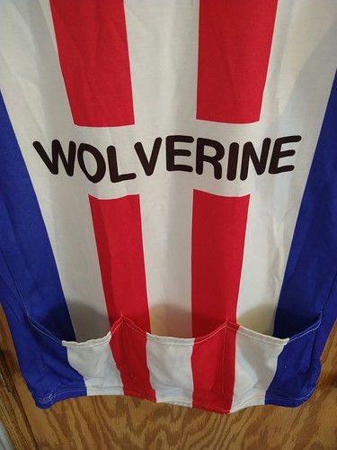 Aussie Schwinn Wolverine Sportverein Radtrikot Gesäßtaschen Kurzarm L - Bild 4 von 11
