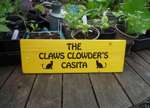 Cat Lover Catio Sign Personalised Gift Kitten Pet Cat House Room Tree - Picture 72 of 75