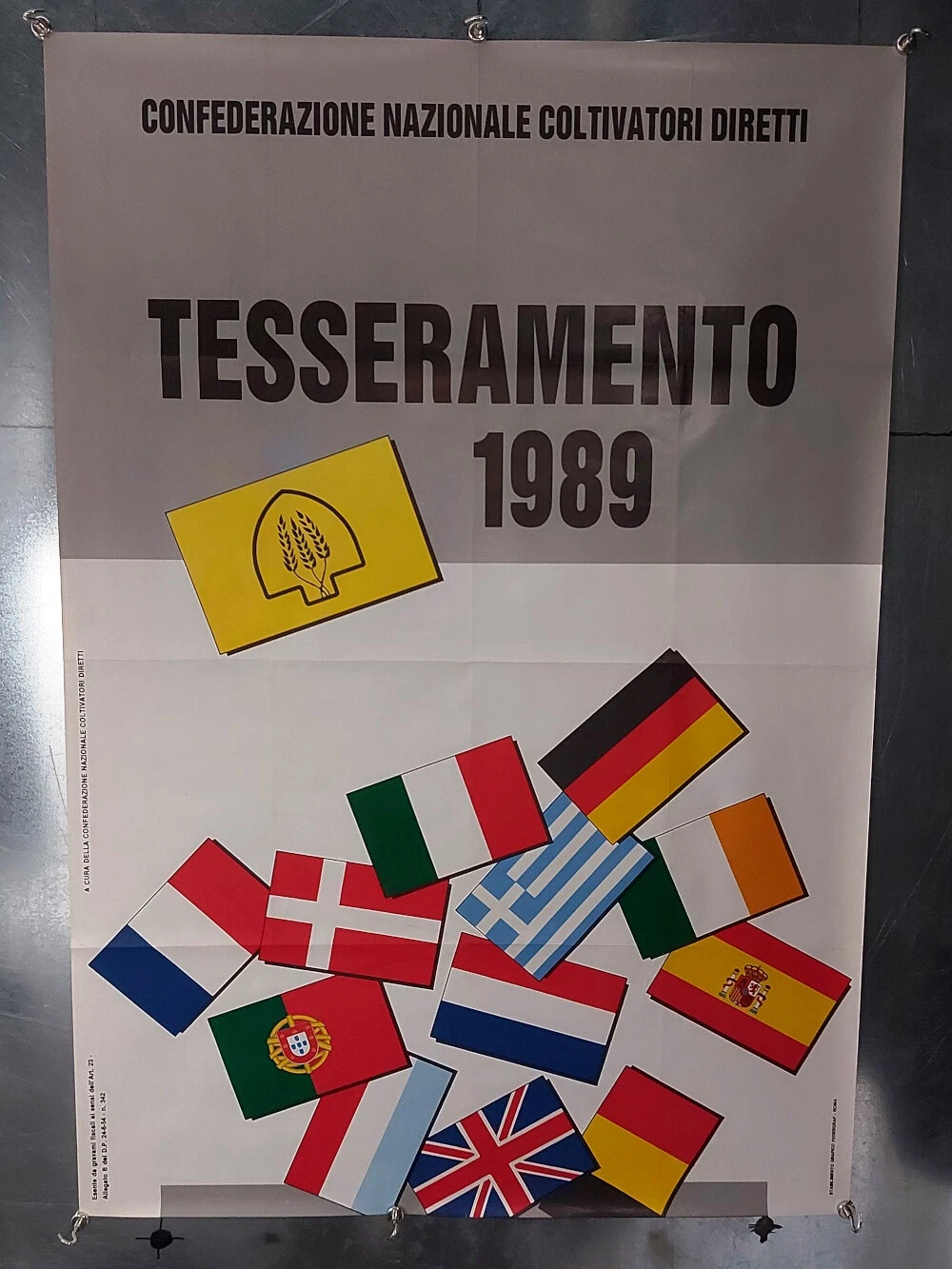 Foto 4 di 5