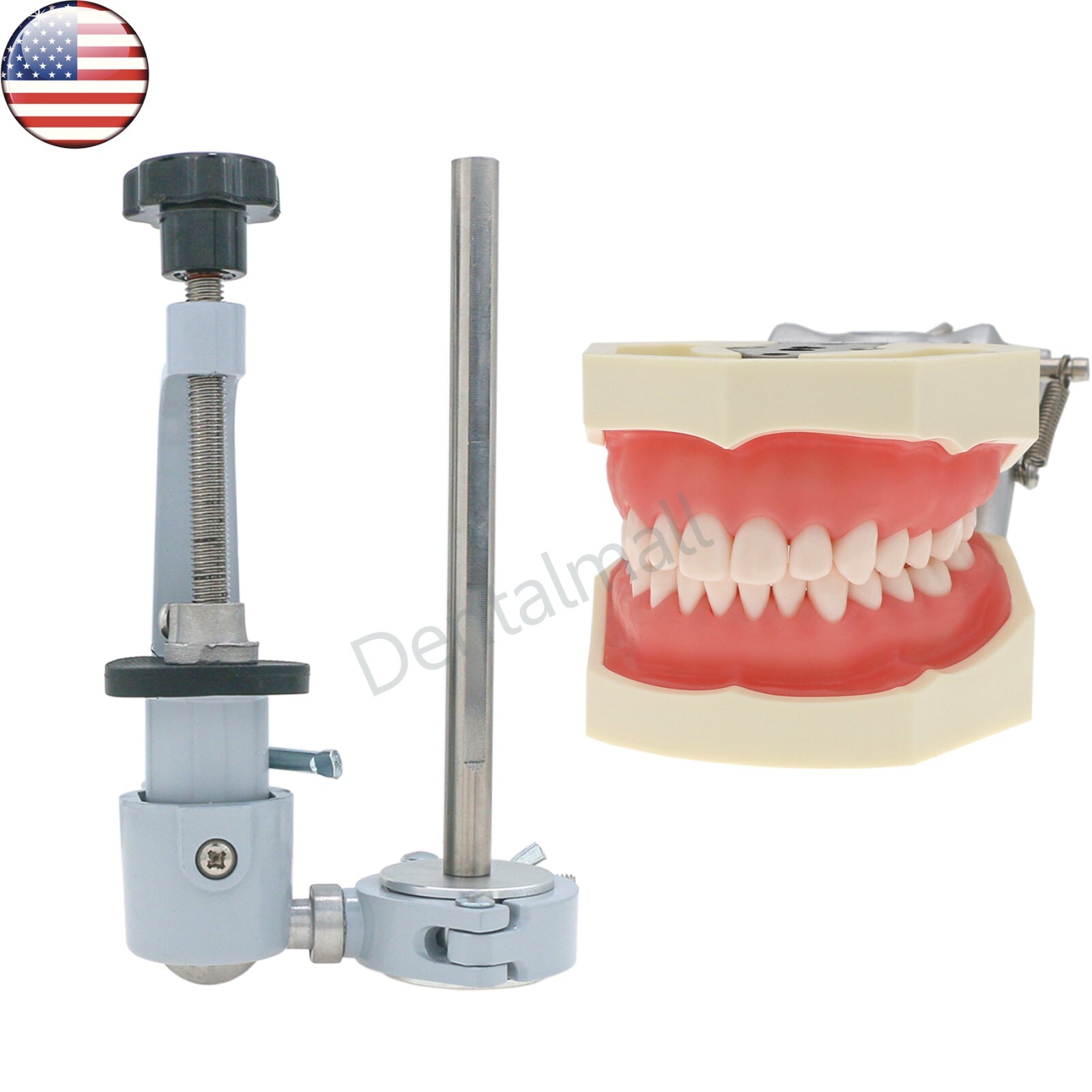 US Dental Typodont Model Mounting Pole fit for Kilgore Nissin Columbia