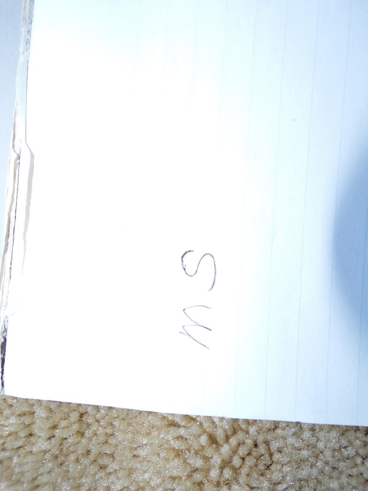 Bild 10 von 11