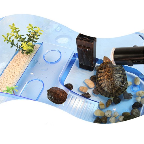 Habitat Lézard Réservoir Scorpion Réservoir Escargots officiel Terrapin Habitat Tortue