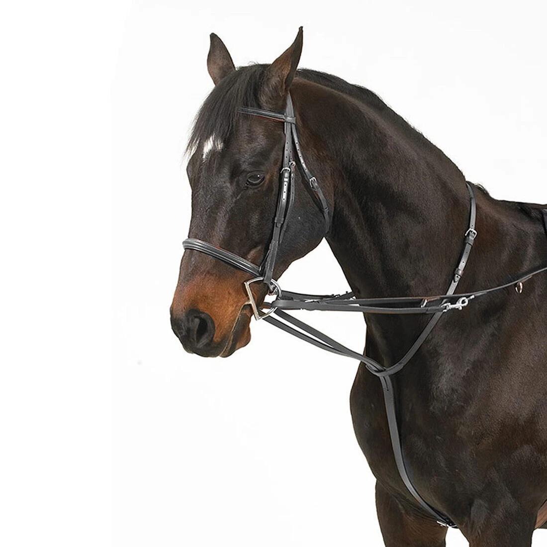 Martingale nylon Lakota PE00101 - Western Shop