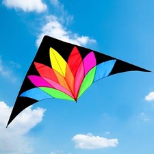 Large Delta Beach Kite Beautiful Huge Kite for Adults for Lawn Trip Backyard
