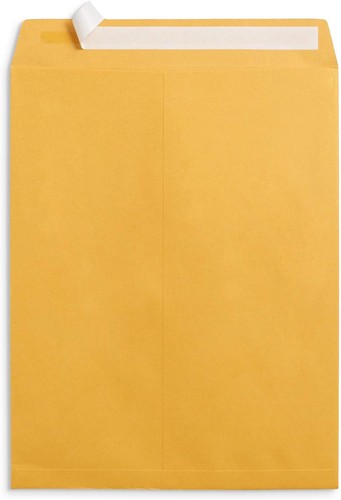 "Sobres de catálogo Blue Summit Supplies 100 de 10"" x 13", auto 10 x 13," - Imagen 2 de 3