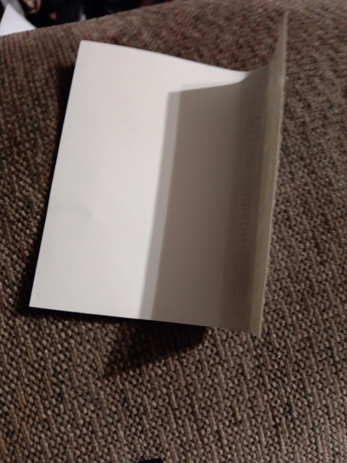 Picture 6 of 6