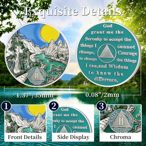 Sunlight 2 Year Sobriety Coin Recovery Two Year AA Coins Serenity Prayer AA Chip - Picture 10 of 13