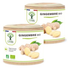 Gingembre Bio - Complément alimentaire - Fabriqué en France - 120 gélules